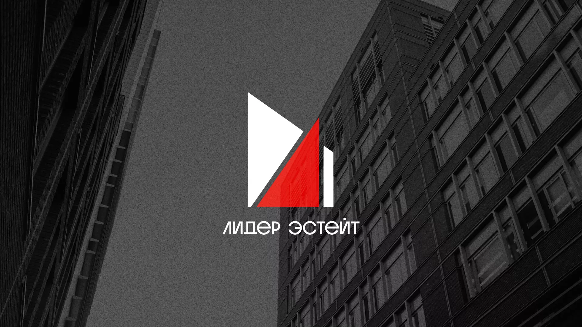 Сделали логотип для агентства недвижимости «Лидер Эстейт» в Рыбном